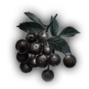Wild Berries icon
