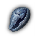 Seashell icon