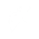 Character Creation Bow icon