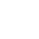 Basketball icon