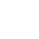 Boxing icon