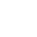 Default Pose icon