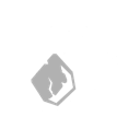 Guardian Rush icon