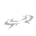 Star Shock icon