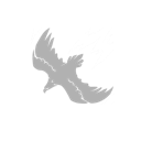Crow Storm icon