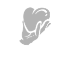 Healing Rune icon