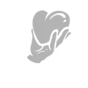 Healing Rune icon