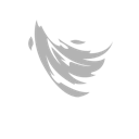 Windwalker Rune icon