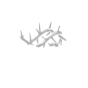 Thorn Sigil icon