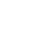 Regular icon
