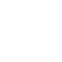 Regular icon