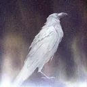 Soekja icon
