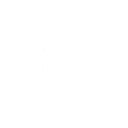 Steel Skull icon