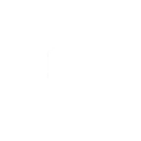 Steel Skull icon
