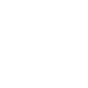 Indomitable Will icon