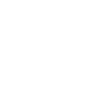 Sturdy Shield icon