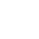Sturdy Shield icon