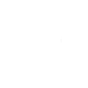 Foresight icon