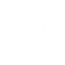 Foresight icon
