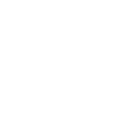 Shockwave icon