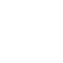 Shockwave icon