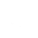 Survival Instinct icon