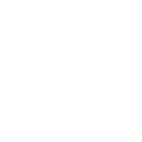 Lightweight icon