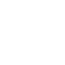 Lightweight icon