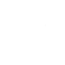 Combat Euphoria icon