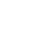 Wild Slash icon