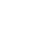 Wild Slash icon