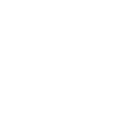 Nimble icon