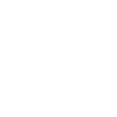 Steady Stealth icon