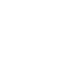 Vault icon