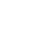 Auto Execution icon
