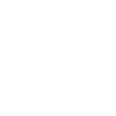 Seize Opportunity icon