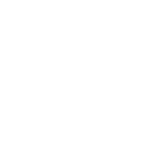 Seize Opportunity icon