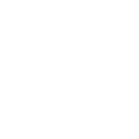 Guardian icon