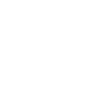 Swift Vanguard icon