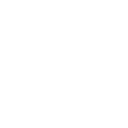 Brute Force icon