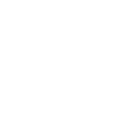 Brute Force icon
