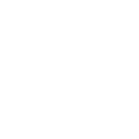 Valor icon