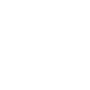 Valor icon