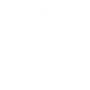 Wise icon