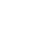 Wise icon