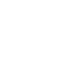 Spirit Shield icon