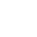 Spirit Shield icon