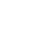Physical Damage Reduction icon