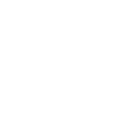 Focused icon