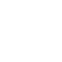 Elusive icon
